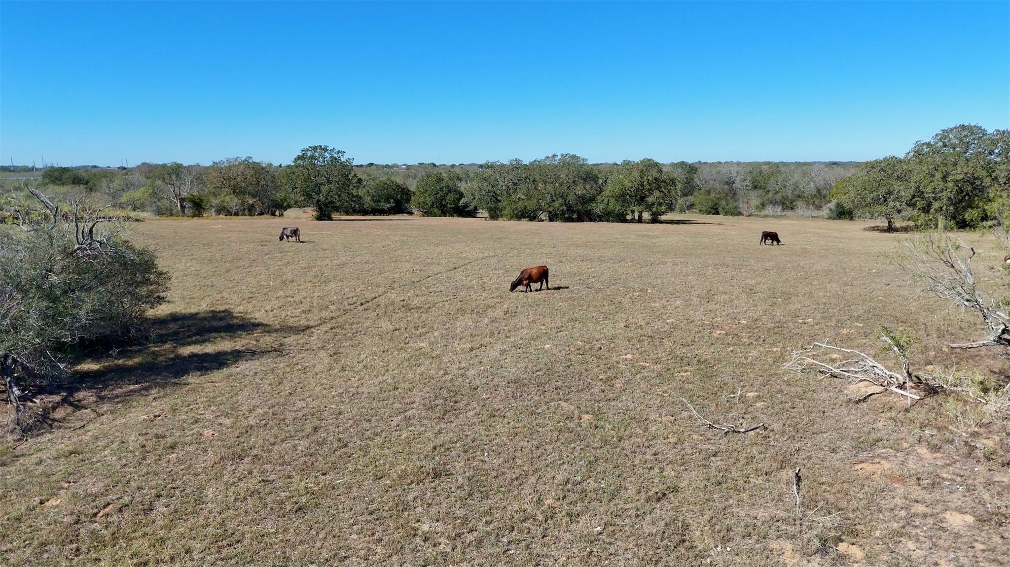 7180 CR 283, Harwood, TX 78632