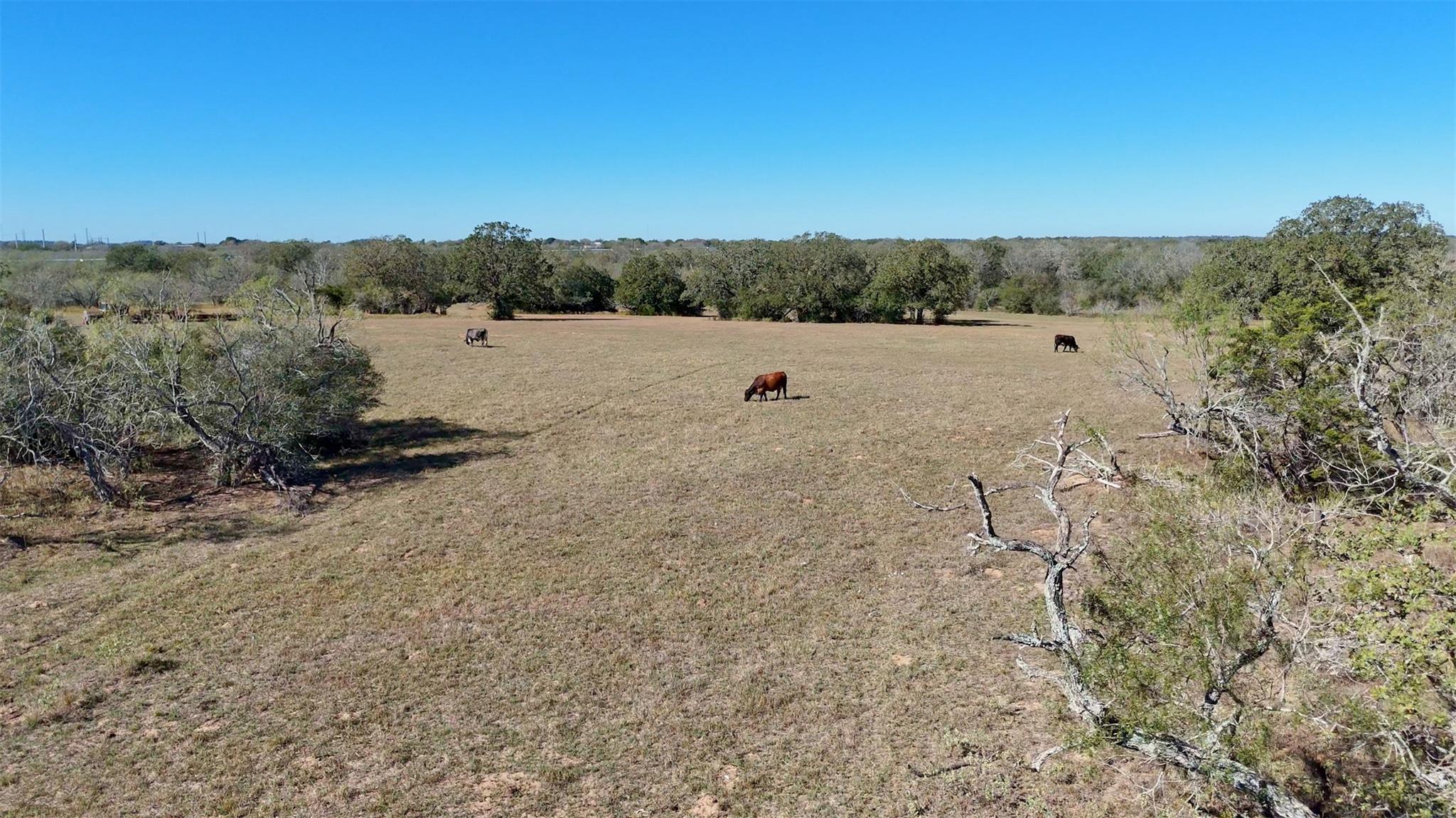 7180 CR 283, Harwood, TX 78632