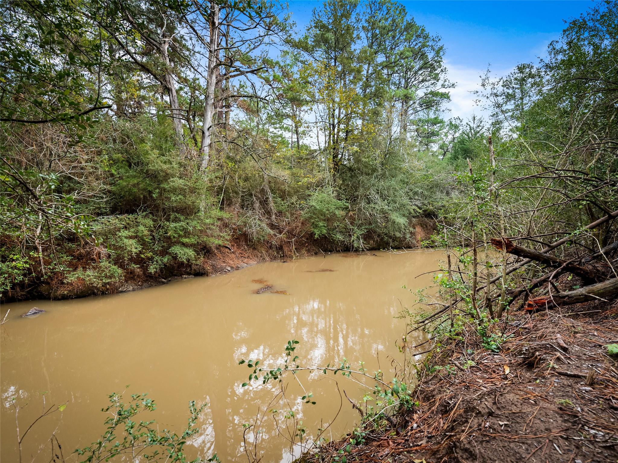 127 Marina Rd, Smithville, TX 78957