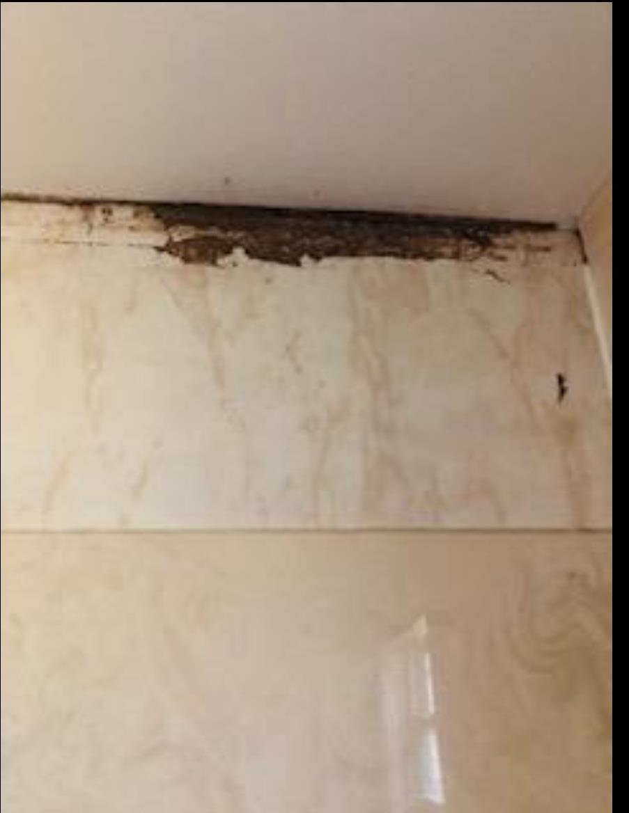 1924 W Decker Ave, Orange, TX 77632