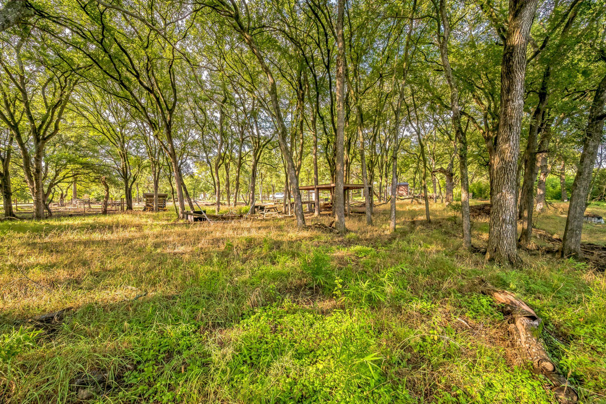 10 Reese Dr, Sunset Valley, TX 78745