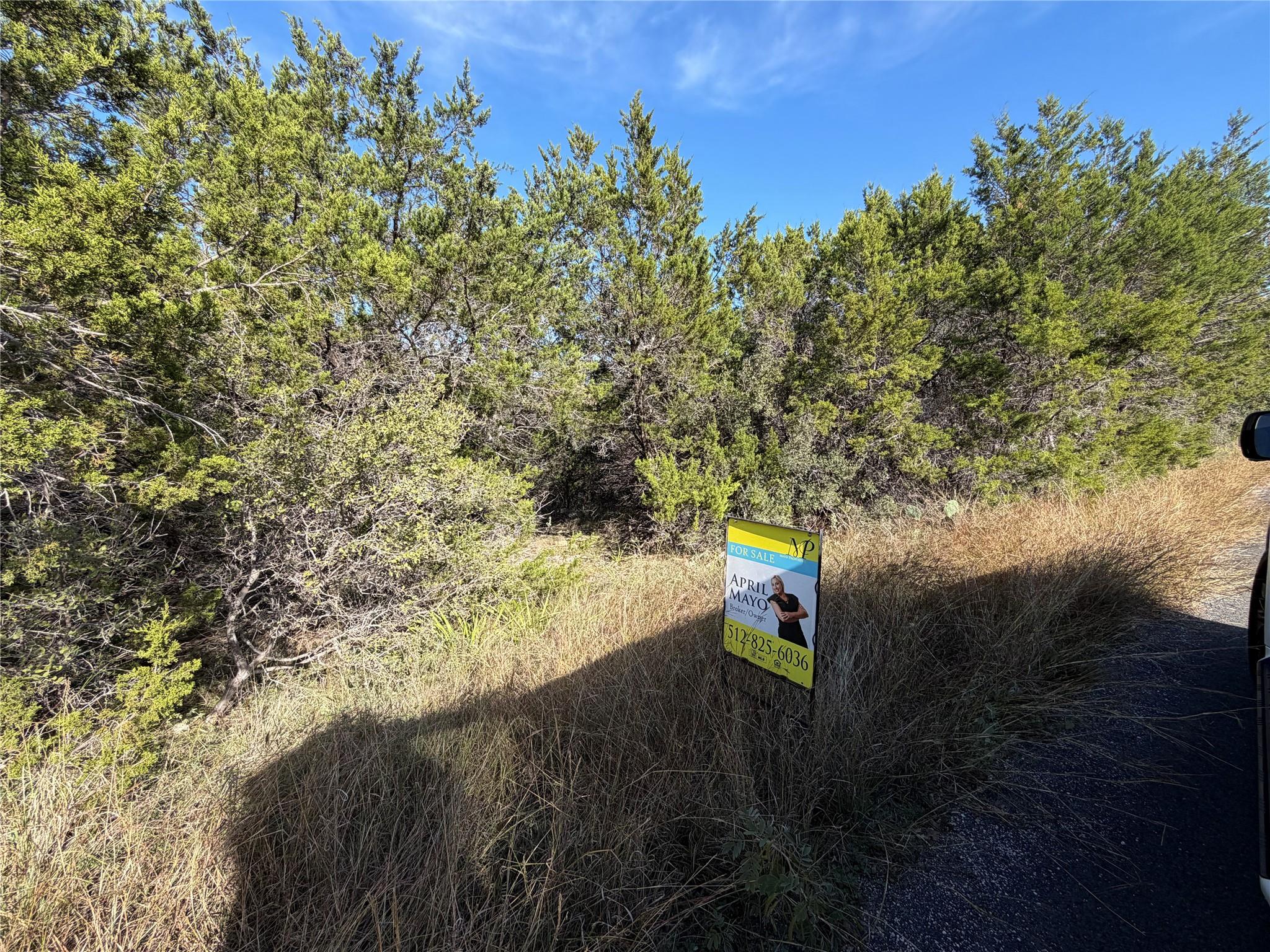 918 Debco Ln, Spicewood, TX 78669