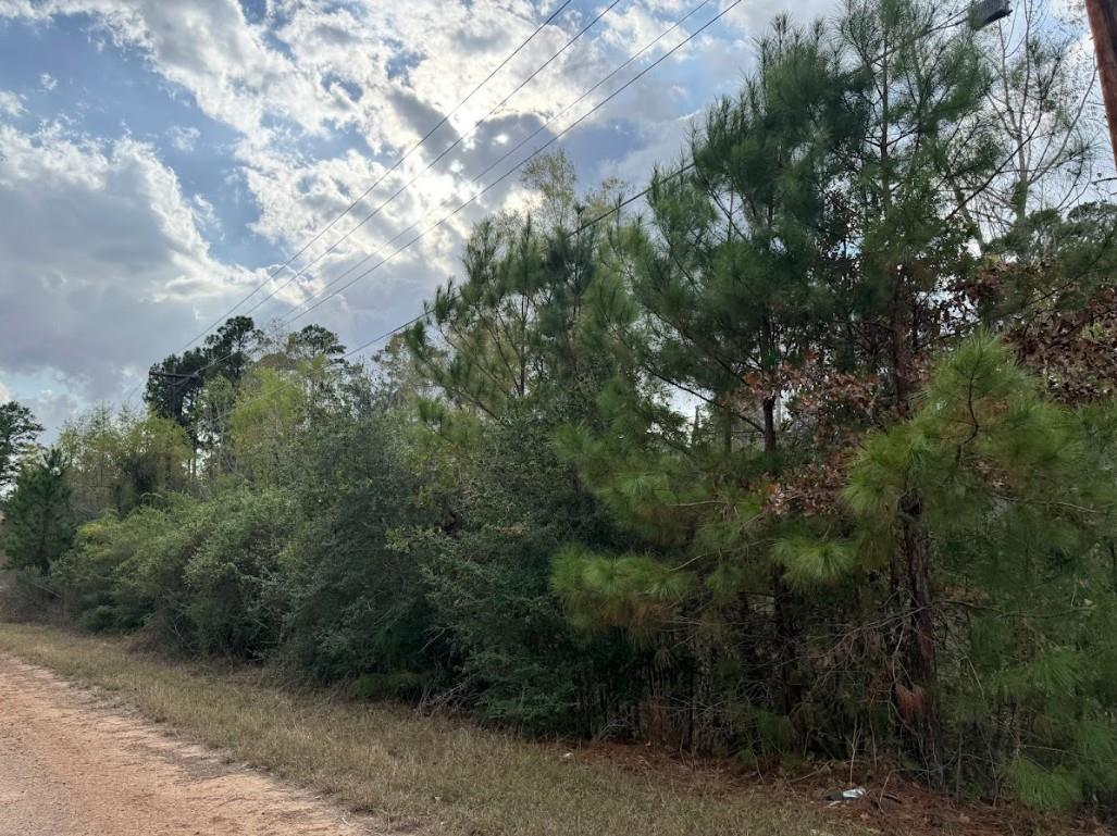 Lot 233 MAKAHA Dr, Bastrop, TX 78602