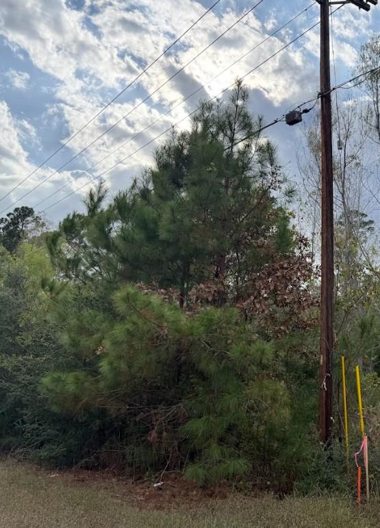 Lot 233 MAKAHA Dr, Bastrop, TX 78602