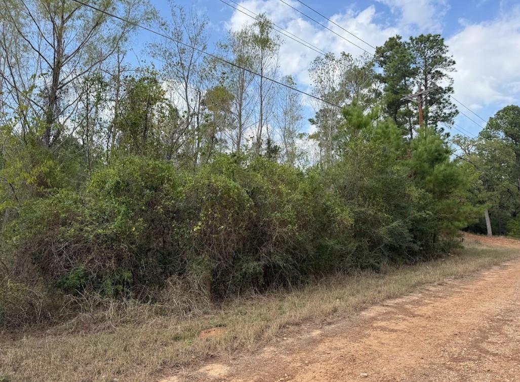 Lot 233 MAKAHA Dr, Bastrop, TX 78602