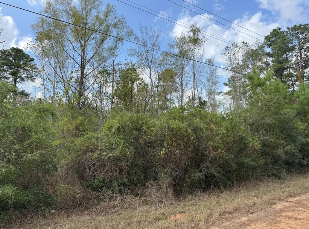 Lot 233 MAKAHA Dr, Bastrop, TX 78602