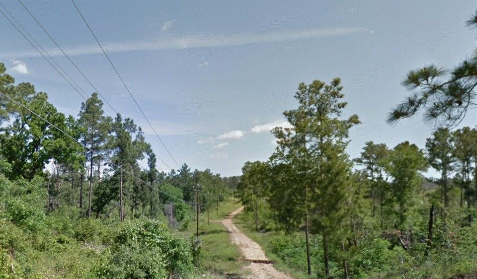Lot 233 MAKAHA Dr, Bastrop, TX 78602