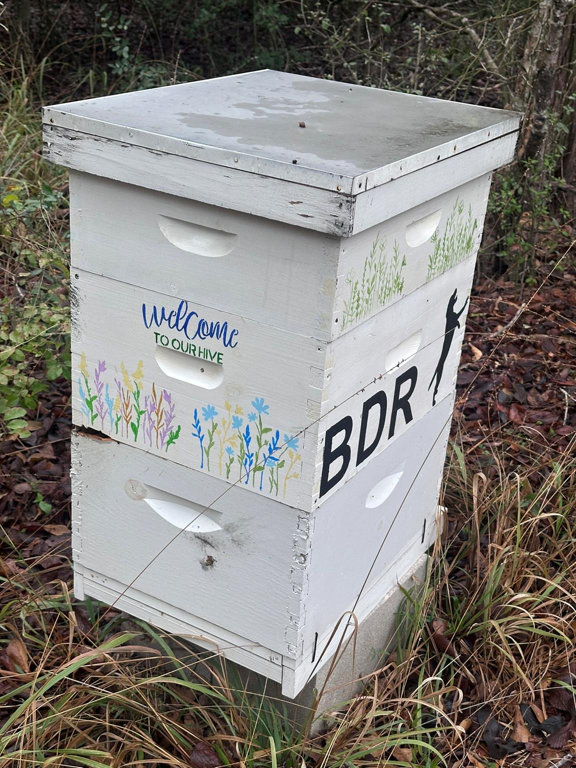 1308 Sherrill Ln, Lexington, TX 78947