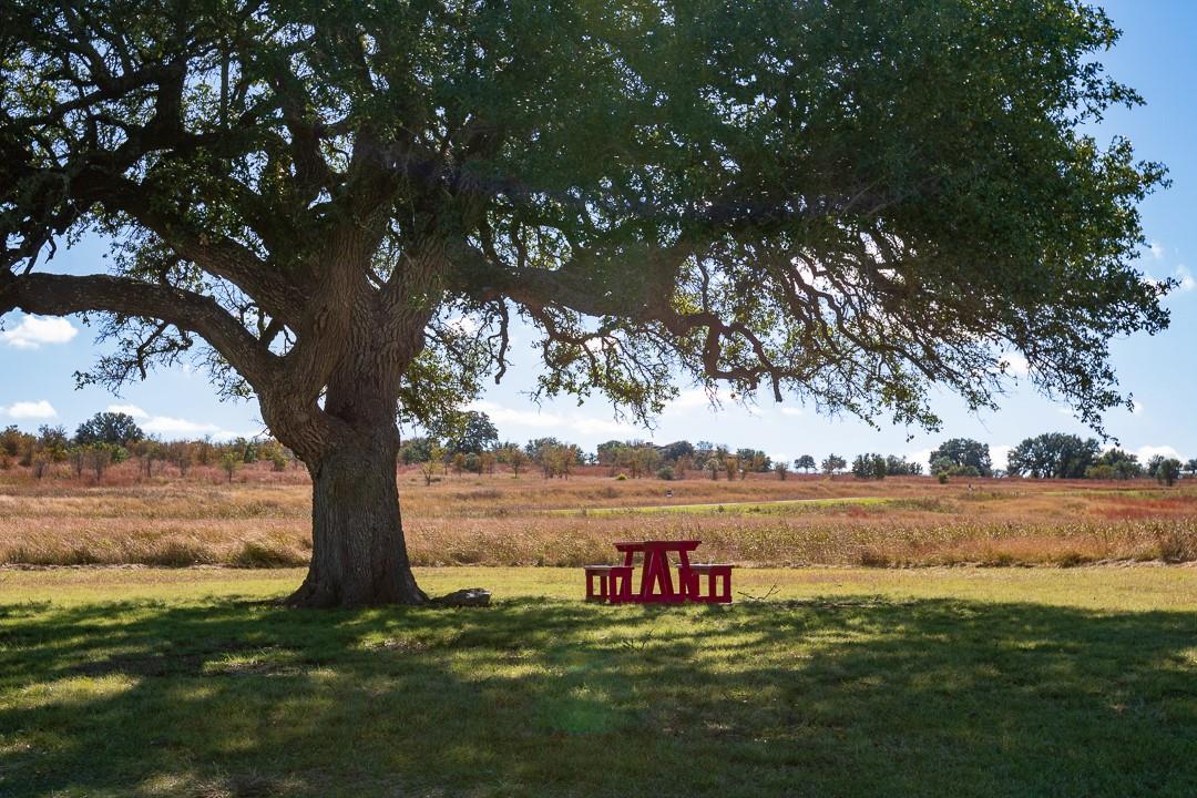 204 Via Daniela, Florence, TX 76527