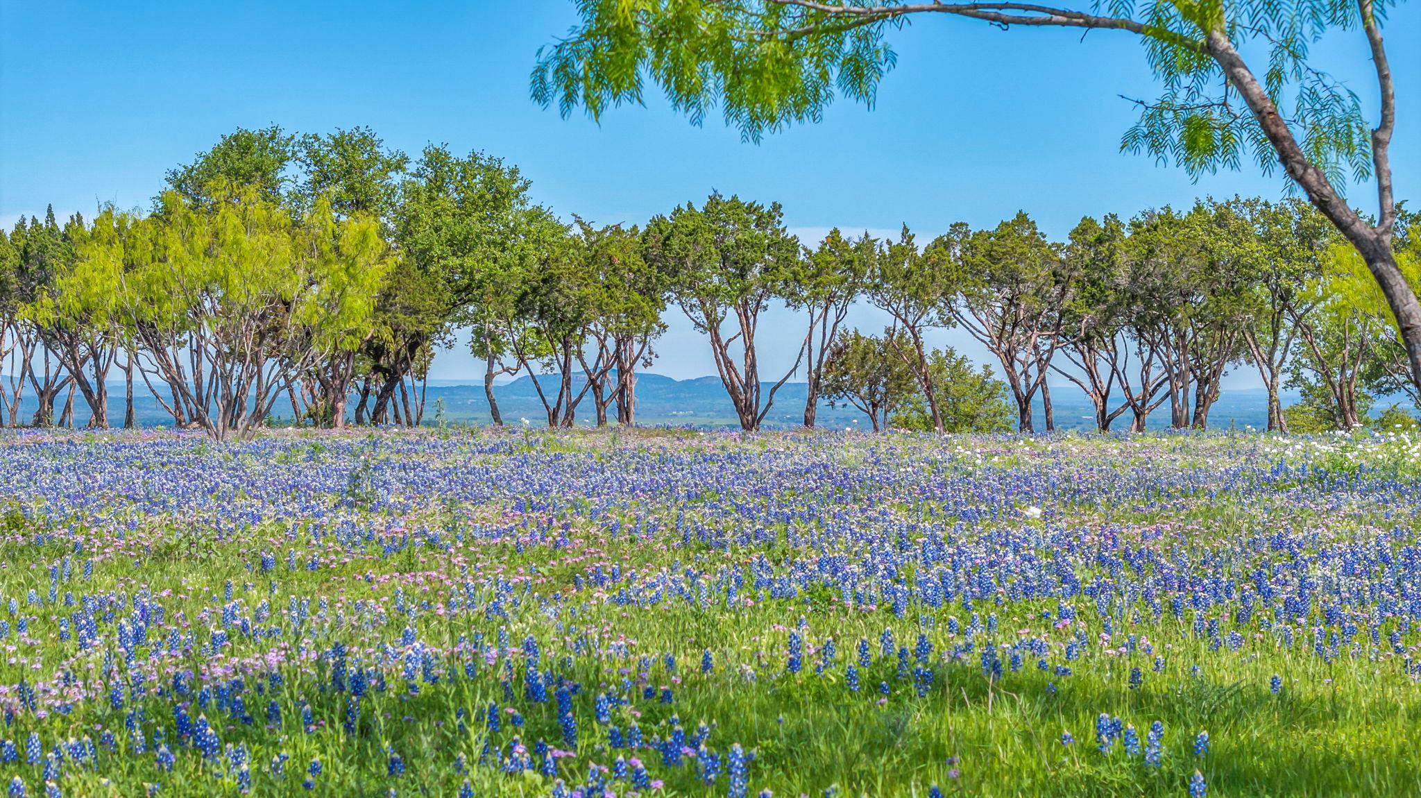 3531 RR 3347 - LOT 2, Round Mountain, TX 78663