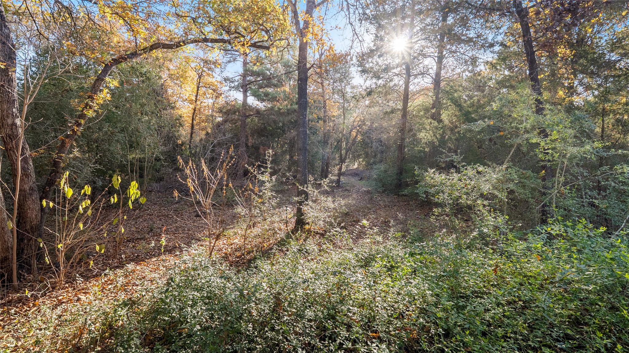 315 Arbors Cir, Elgin, TX 78621