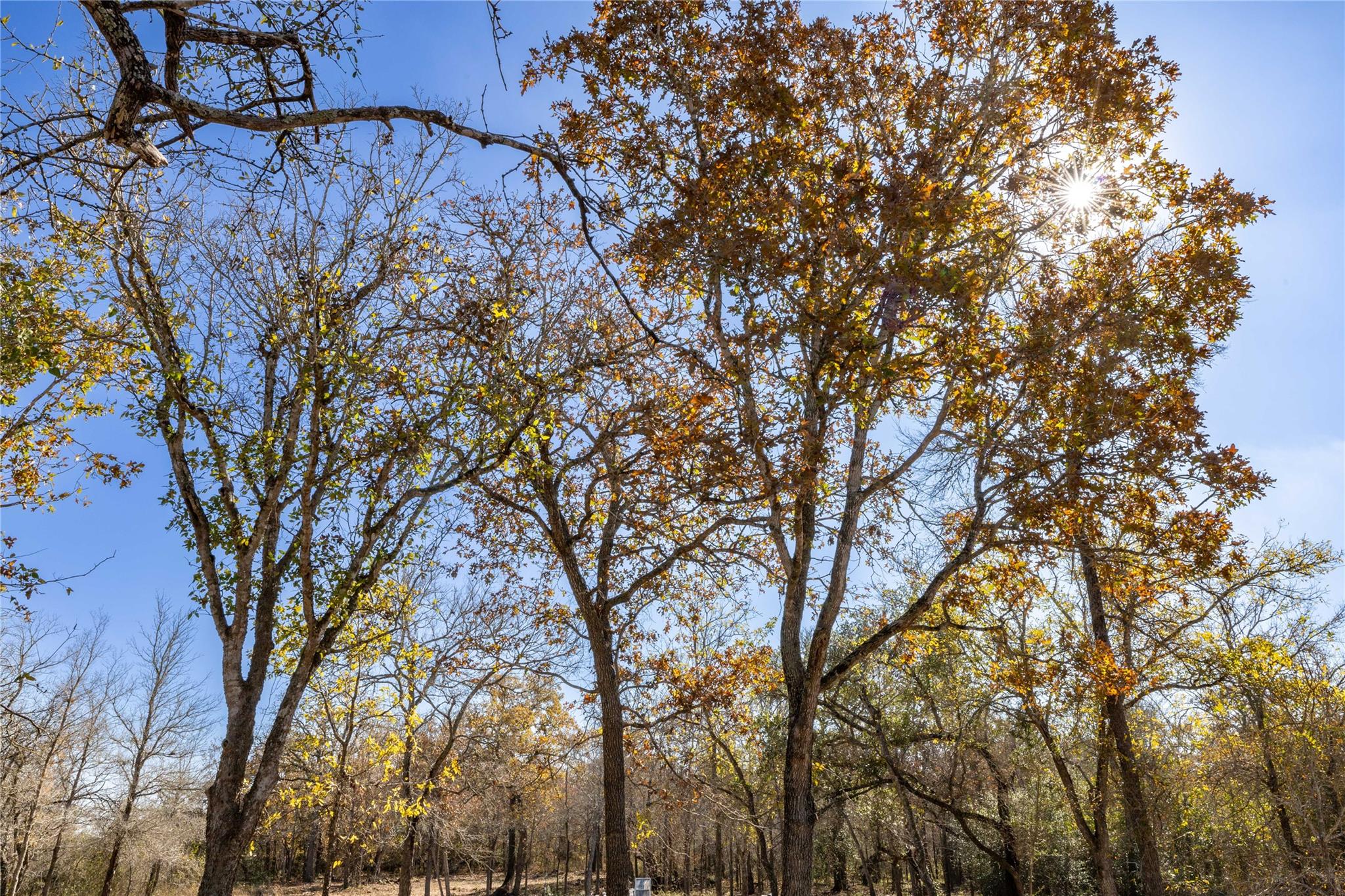 469 Union Hill, Luling, TX 78648