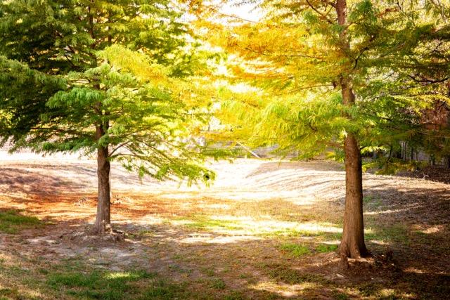 2505 Thornton Rd # 2106, Austin, TX 78704