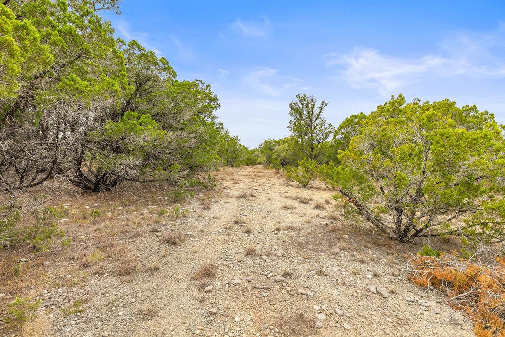 1216 Overland Stage Rd, Dripping Springs, TX 78620