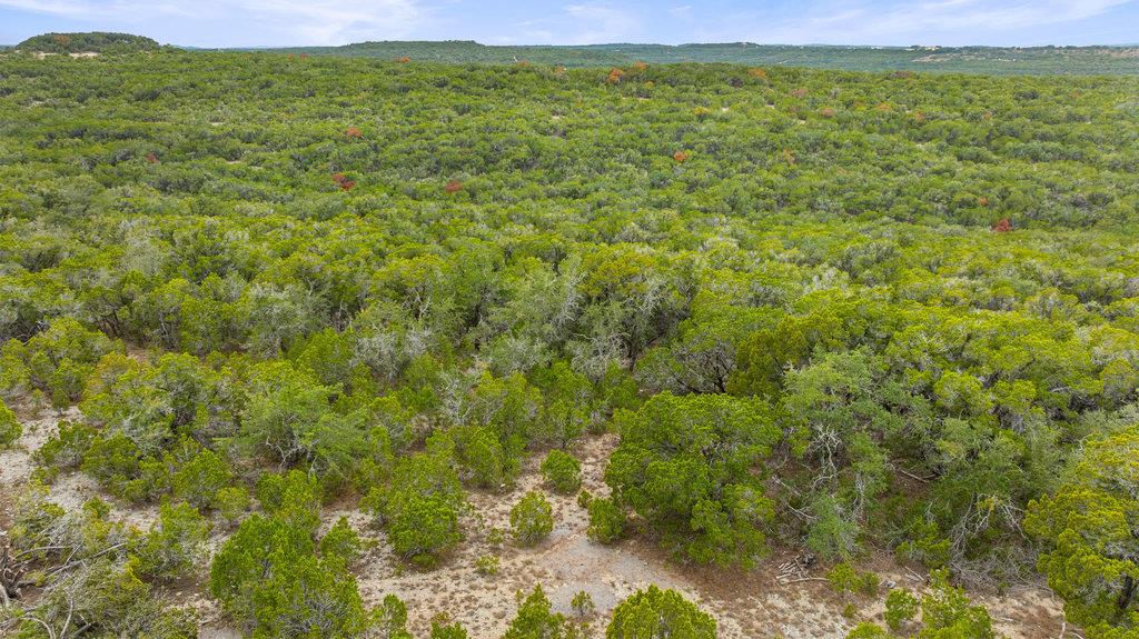 1216 Overland Stage Rd, Dripping Springs, TX 78620