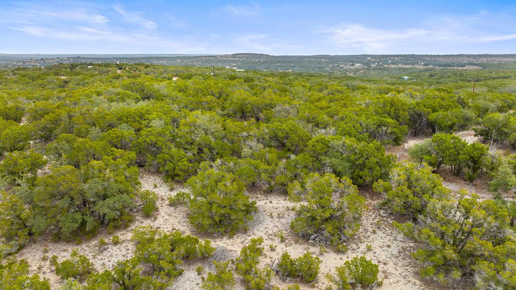1216 Overland Stage Rd, Dripping Springs, TX 78620