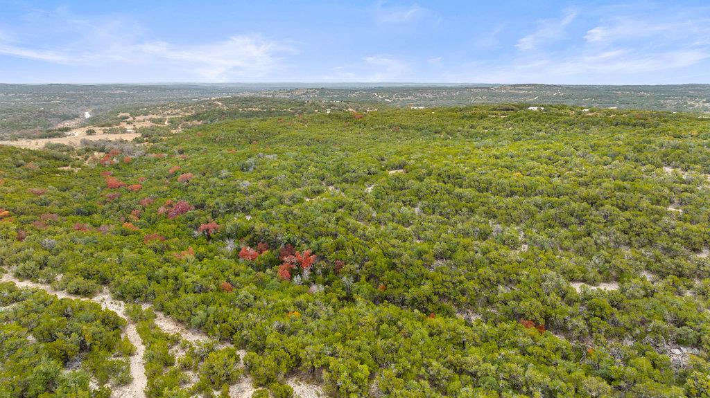 1216 Overland Stage Rd, Dripping Springs, TX 78620