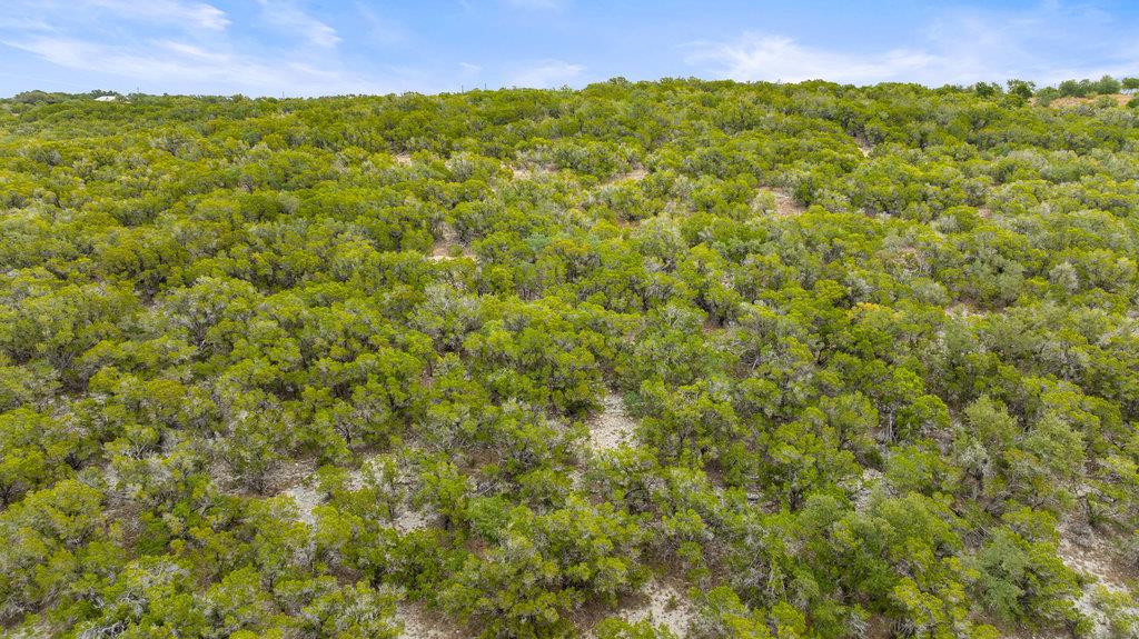 1216 Overland Stage Rd, Dripping Springs, TX 78620