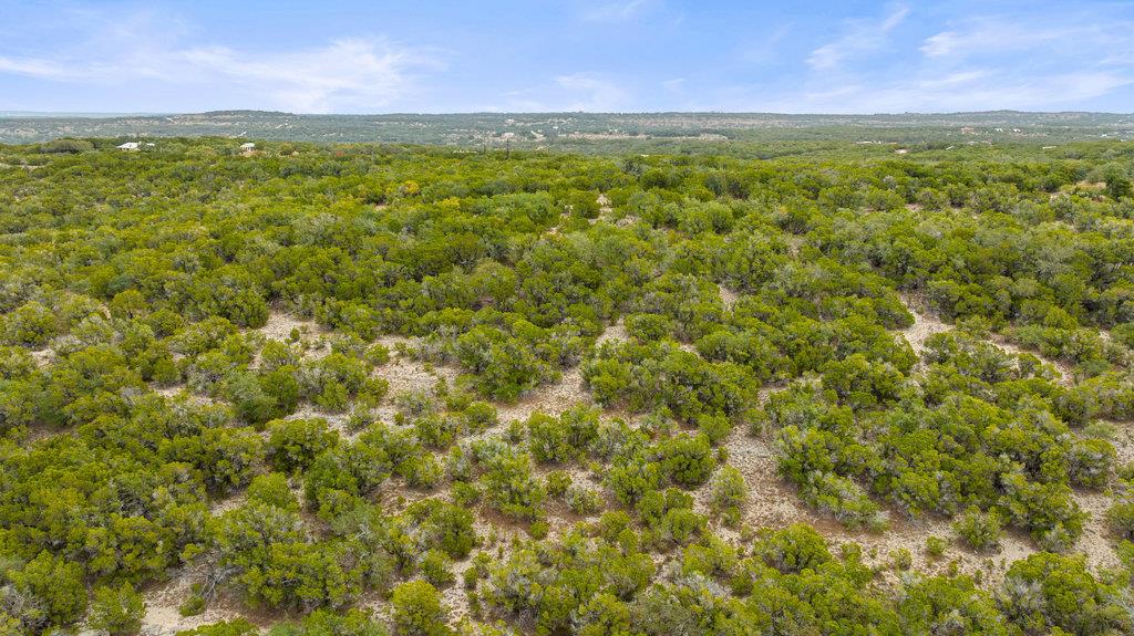 1216 Overland Stage Rd, Dripping Springs, TX 78620