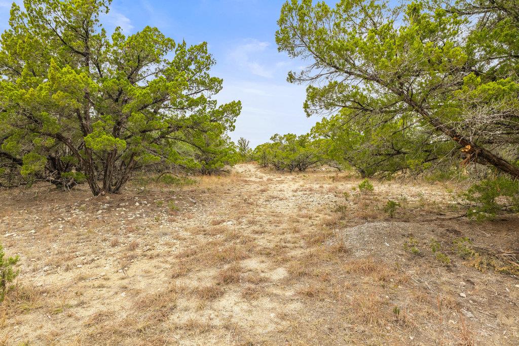1216 Overland Stage Rd, Dripping Springs, TX 78620
