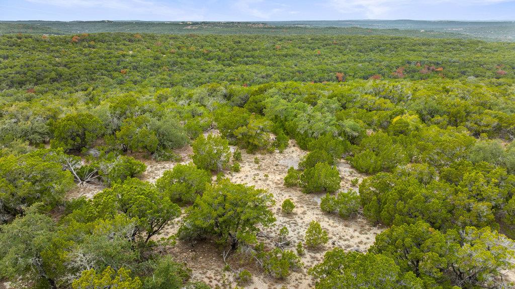 1216 Overland Stage Rd, Dripping Springs, TX 78620