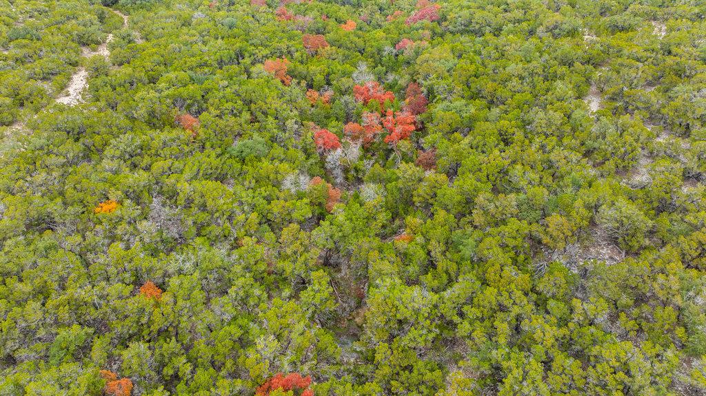 1216 Overland Stage Rd, Dripping Springs, TX 78620