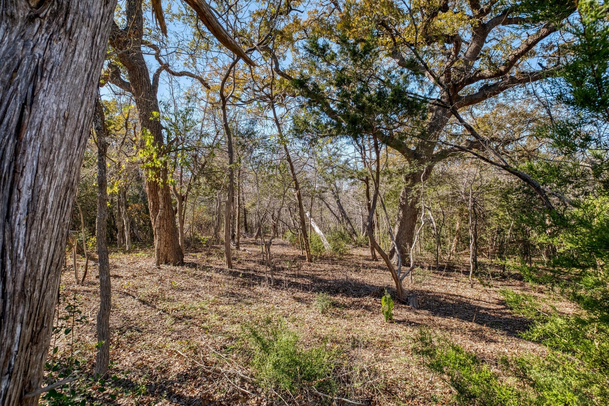 21400 Webberwood Rdg, Elgin, TX 78621