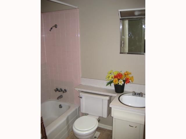 304 Sheraton Ave, Austin, TX 78745