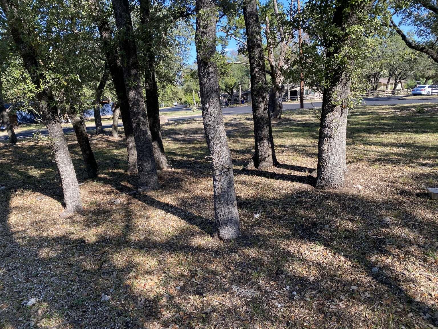 5801 Sierra Madre, Austin, TX 78759