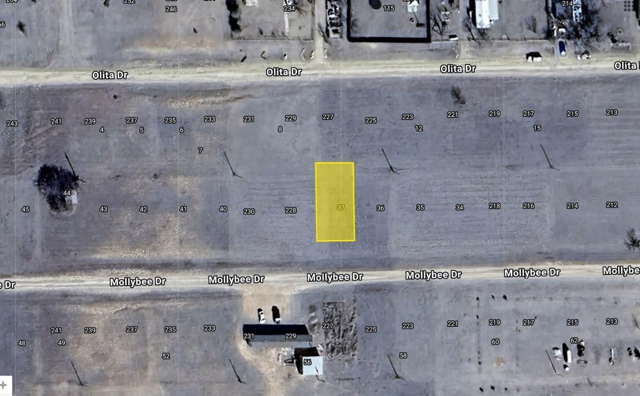 37 MOLLYBEE Dr, Howardwick, TX 79226