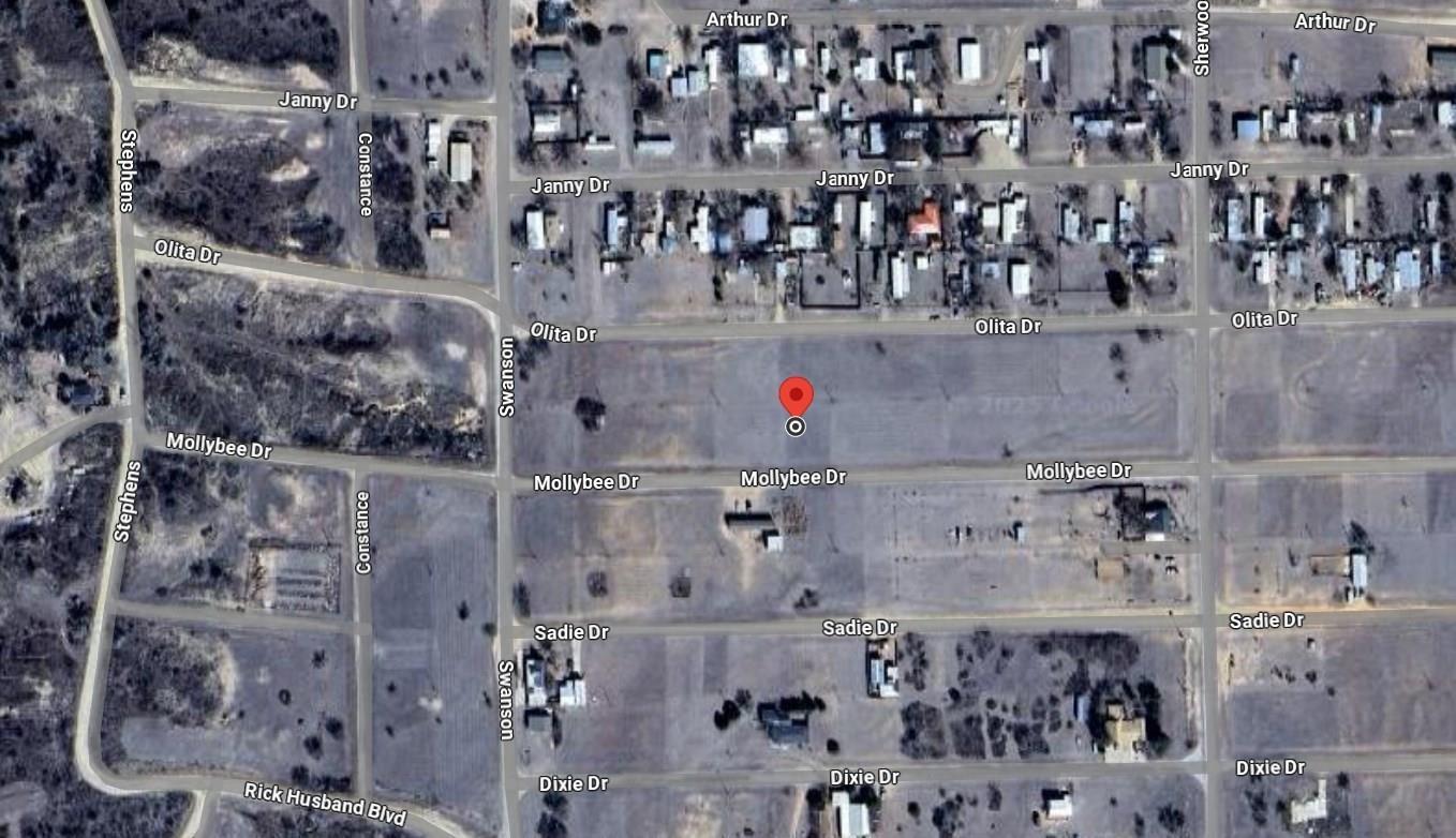 37 MOLLYBEE Dr, Howardwick, TX 79226