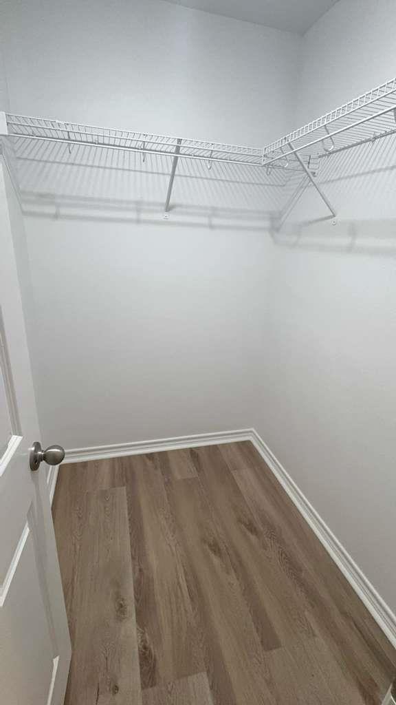 14205 Prairie Sod Ln, Elgin, TX 78621