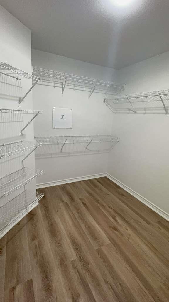 14205 Prairie Sod Ln, Elgin, TX 78621