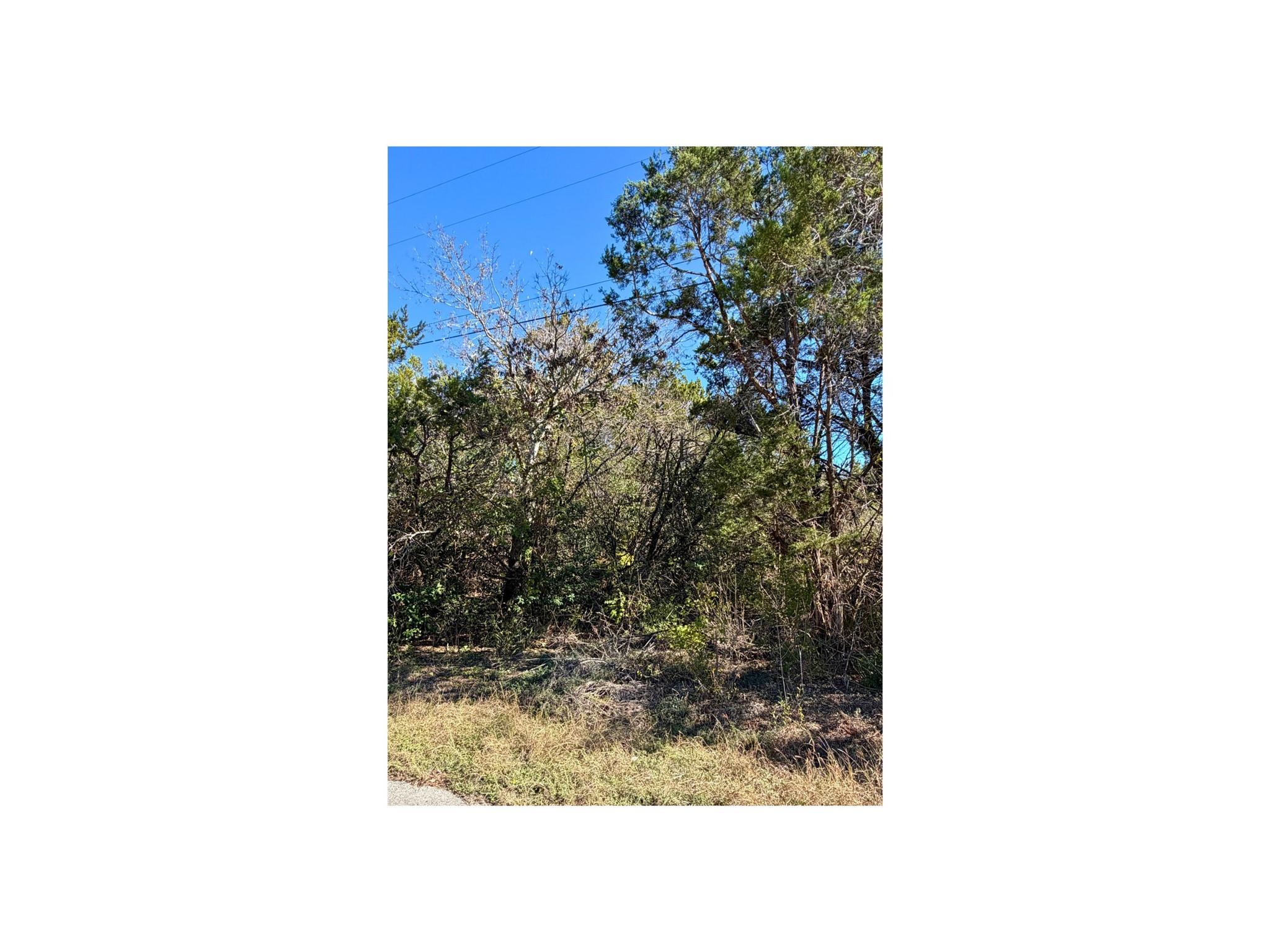 7401 Williamson Creek Dr # 2, Austin, TX 78736