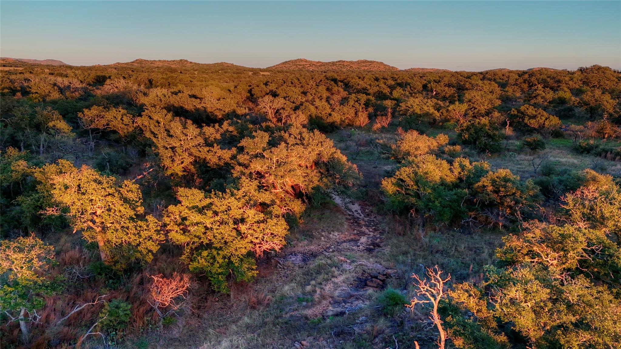 18248 Bode Peak Rd, Pontotoc, TX 76869