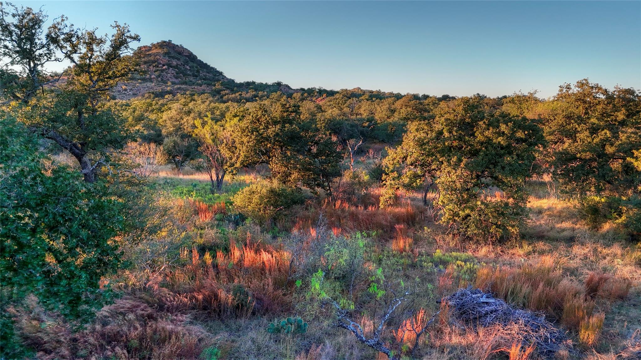 18248 Bode Peak Rd, Pontotoc, TX 76869