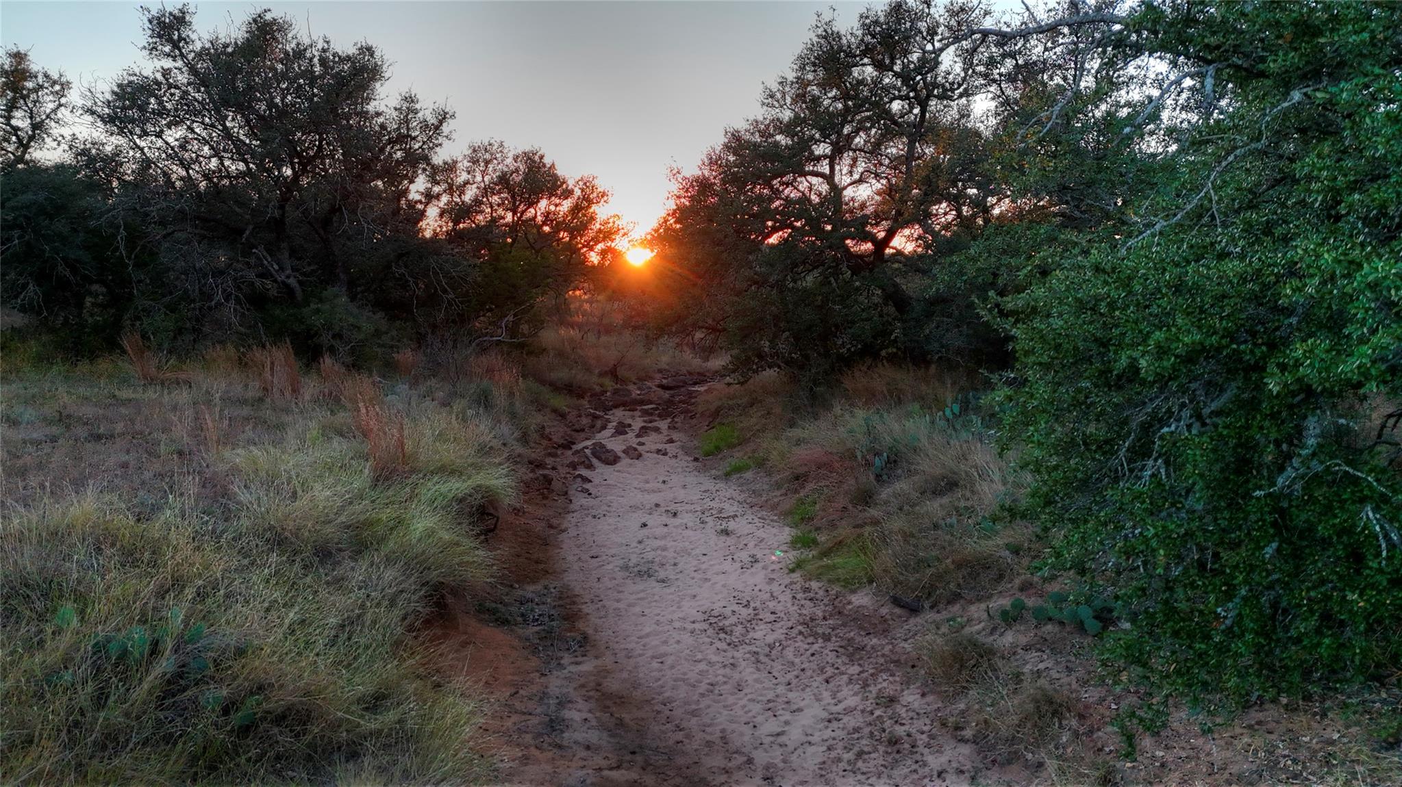 18248 Bode Peak Rd, Pontotoc, TX 76869