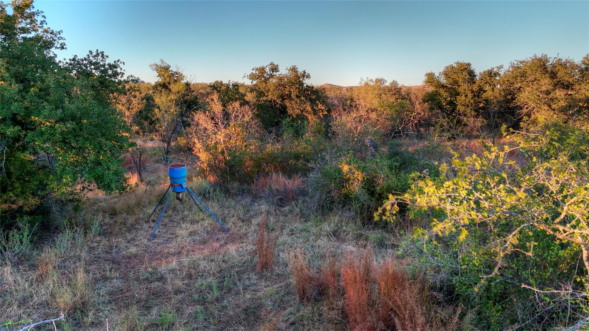 18248 Bode Peak Rd, Pontotoc, TX 76869