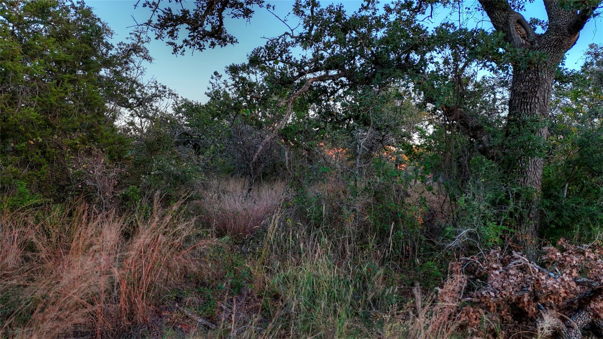 18248 Bode Peak Rd, Pontotoc, TX 76869