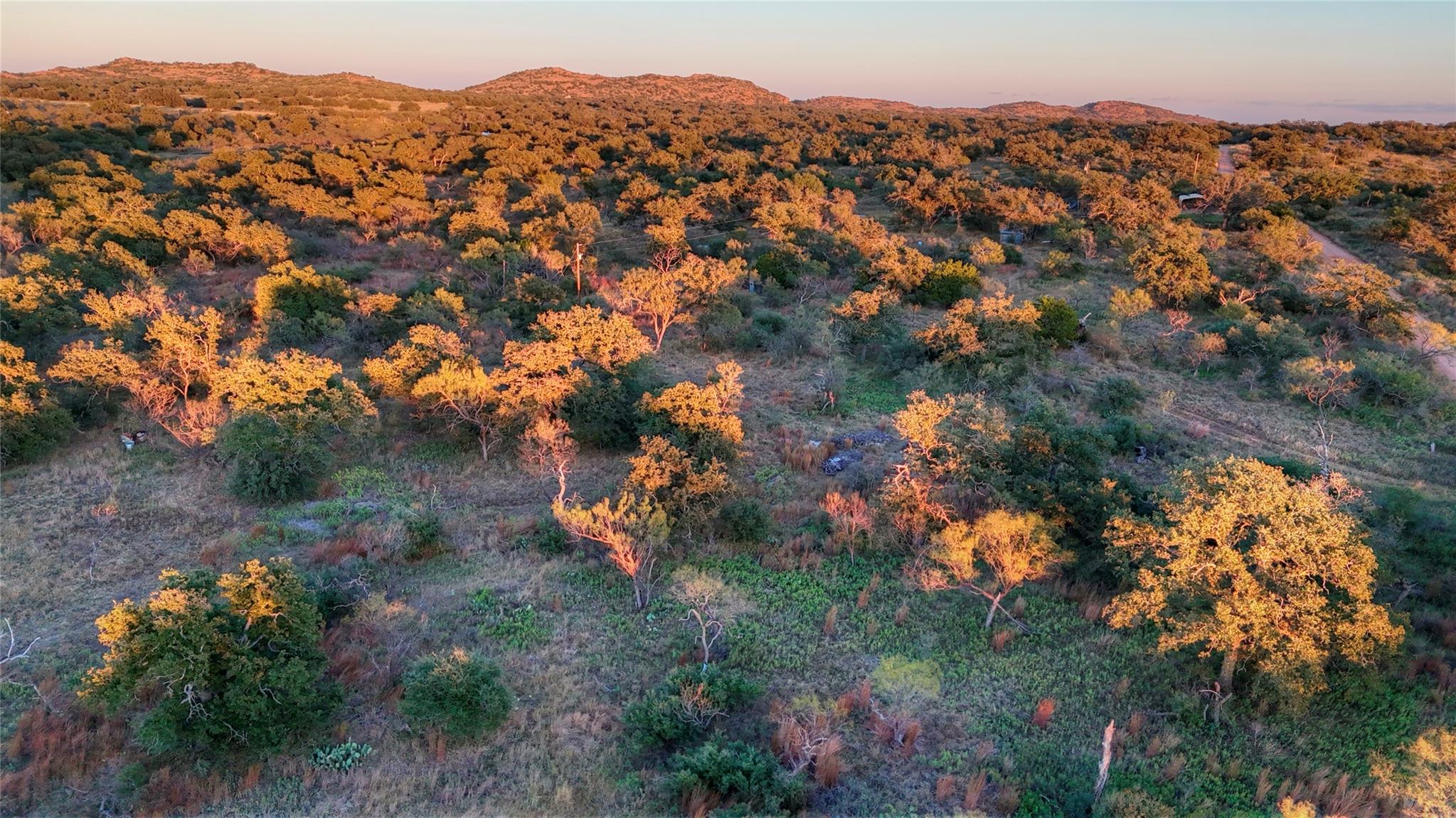 18248 Bode Peak Rd, Pontotoc, TX 76869