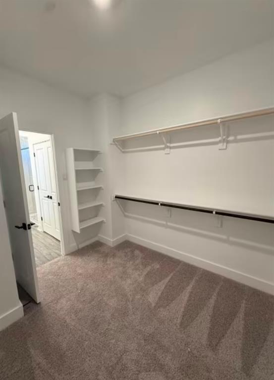 151 Sincere Dr, Kyle, TX 78640