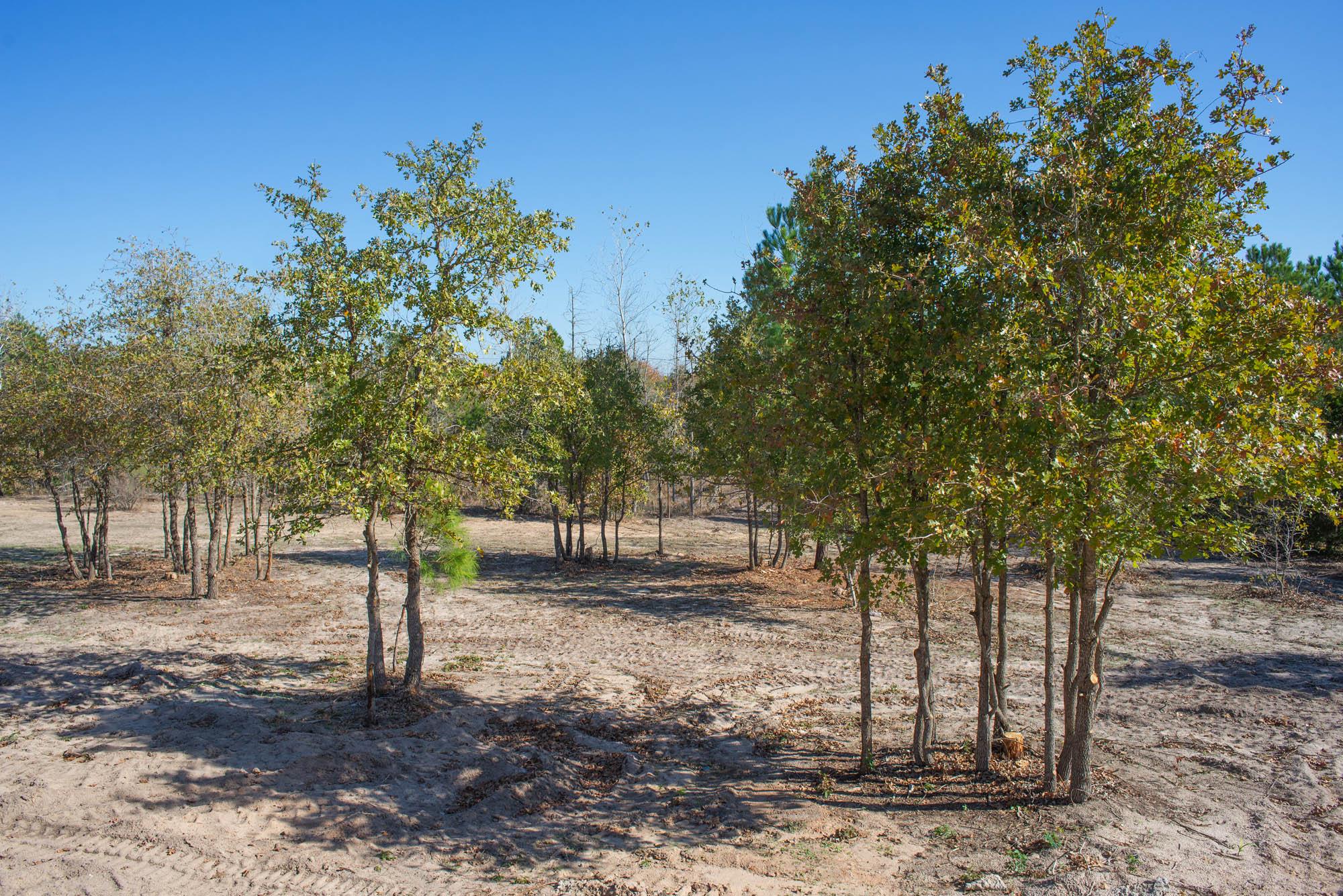 123 Lariat Ct, Bastrop, TX 78602