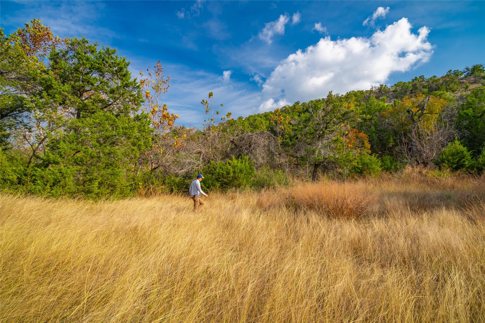 518 Curly H Ranch Rd, Dripping Springs, TX 78620