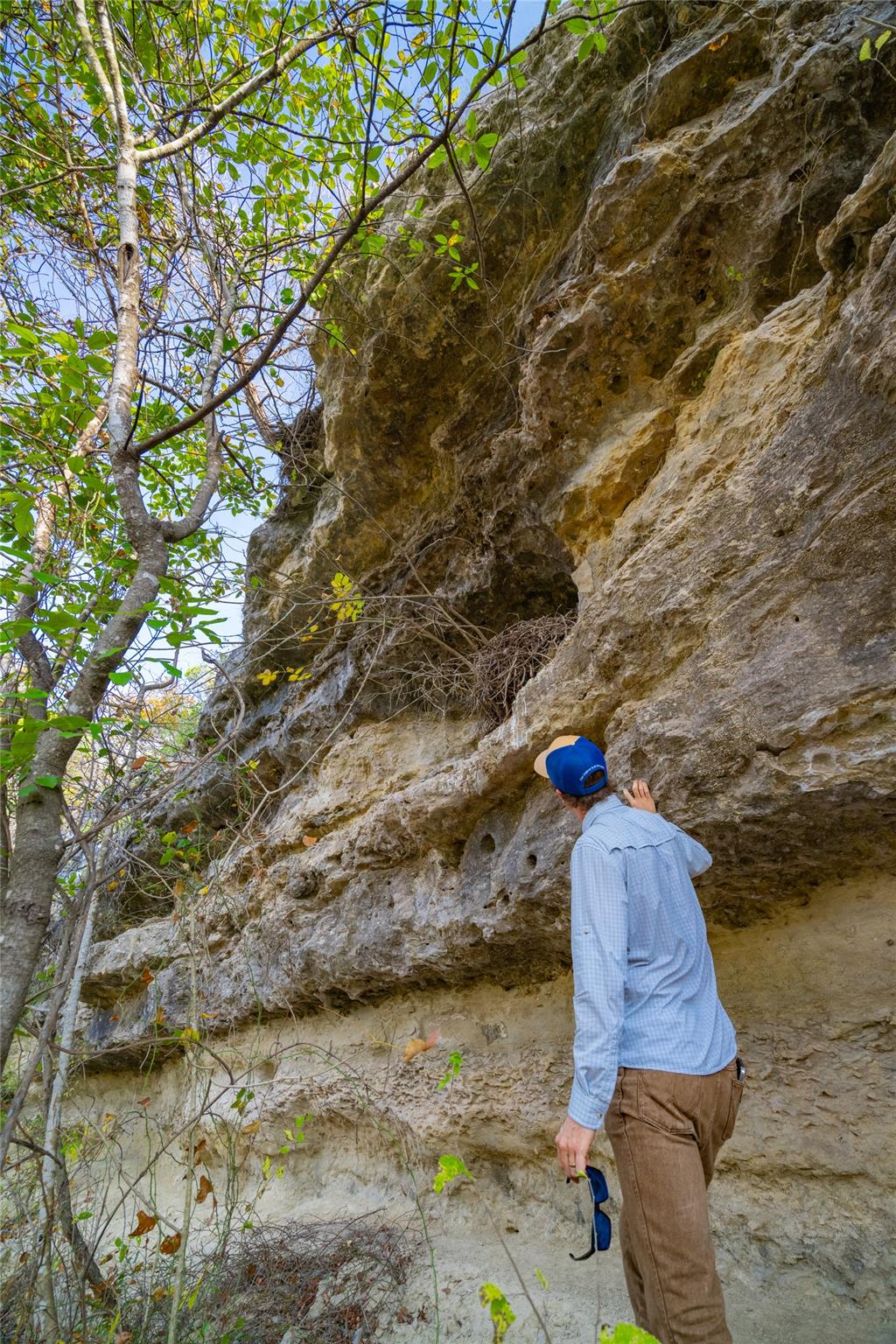 518 Curly H Ranch Rd, Dripping Springs, TX 78620