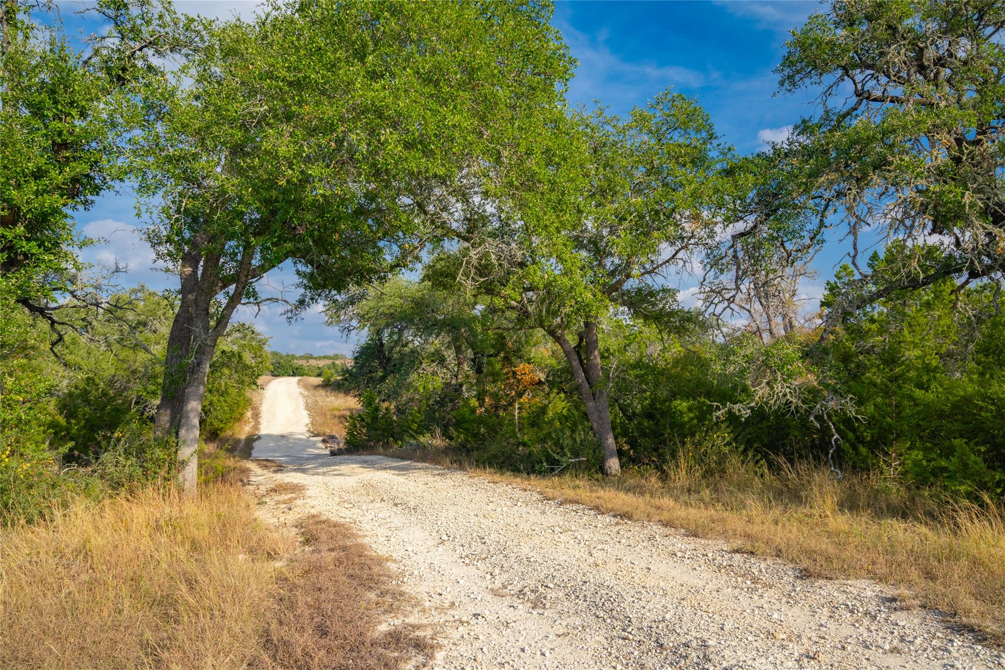 518 Curly H Ranch Rd, Dripping Springs, TX 78620