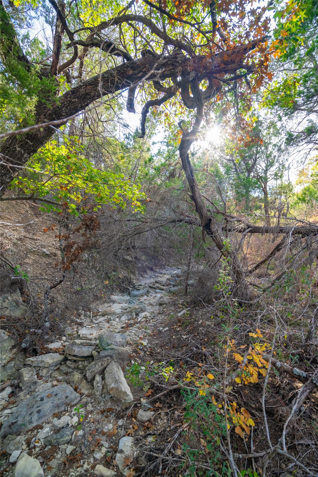 518 Curly H Ranch Rd, Dripping Springs, TX 78620