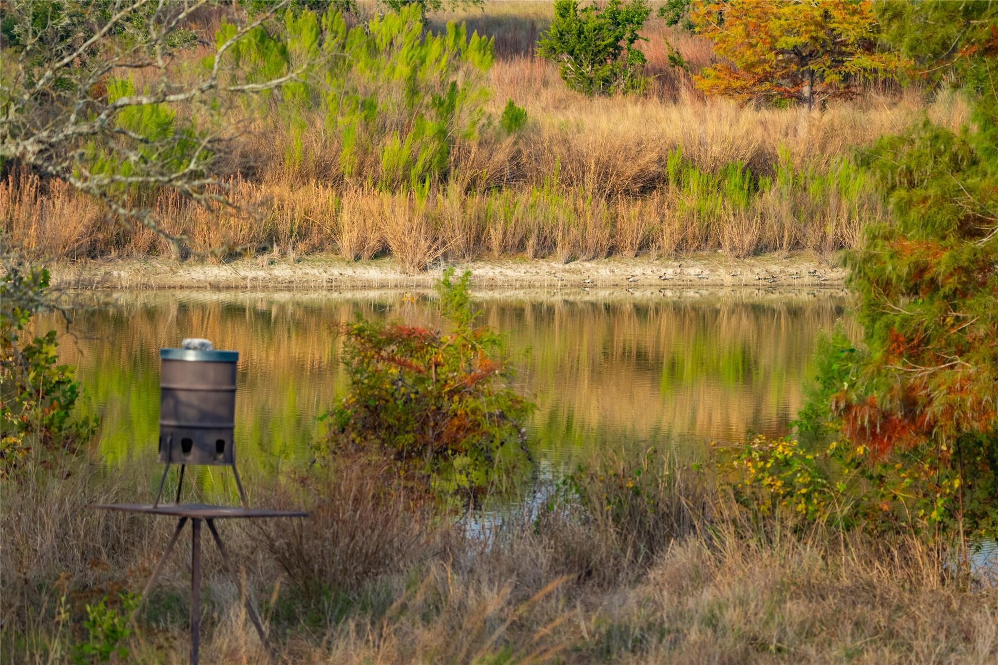 518 Curly H Ranch Rd, Dripping Springs, TX 78620