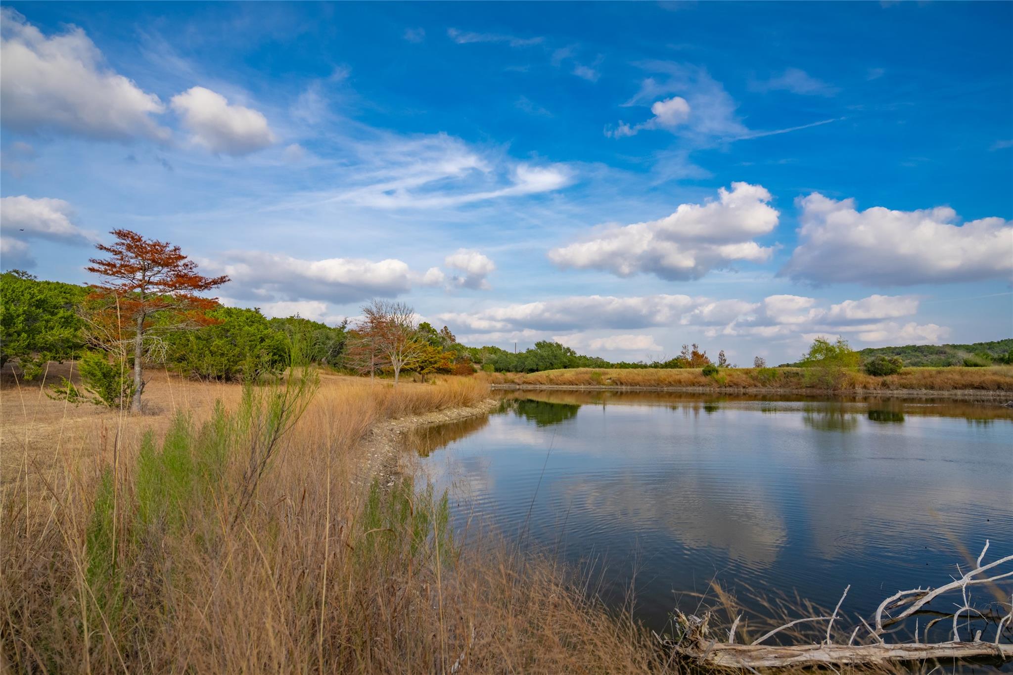 518 Curly H Ranch Rd, Dripping Springs, TX 78620