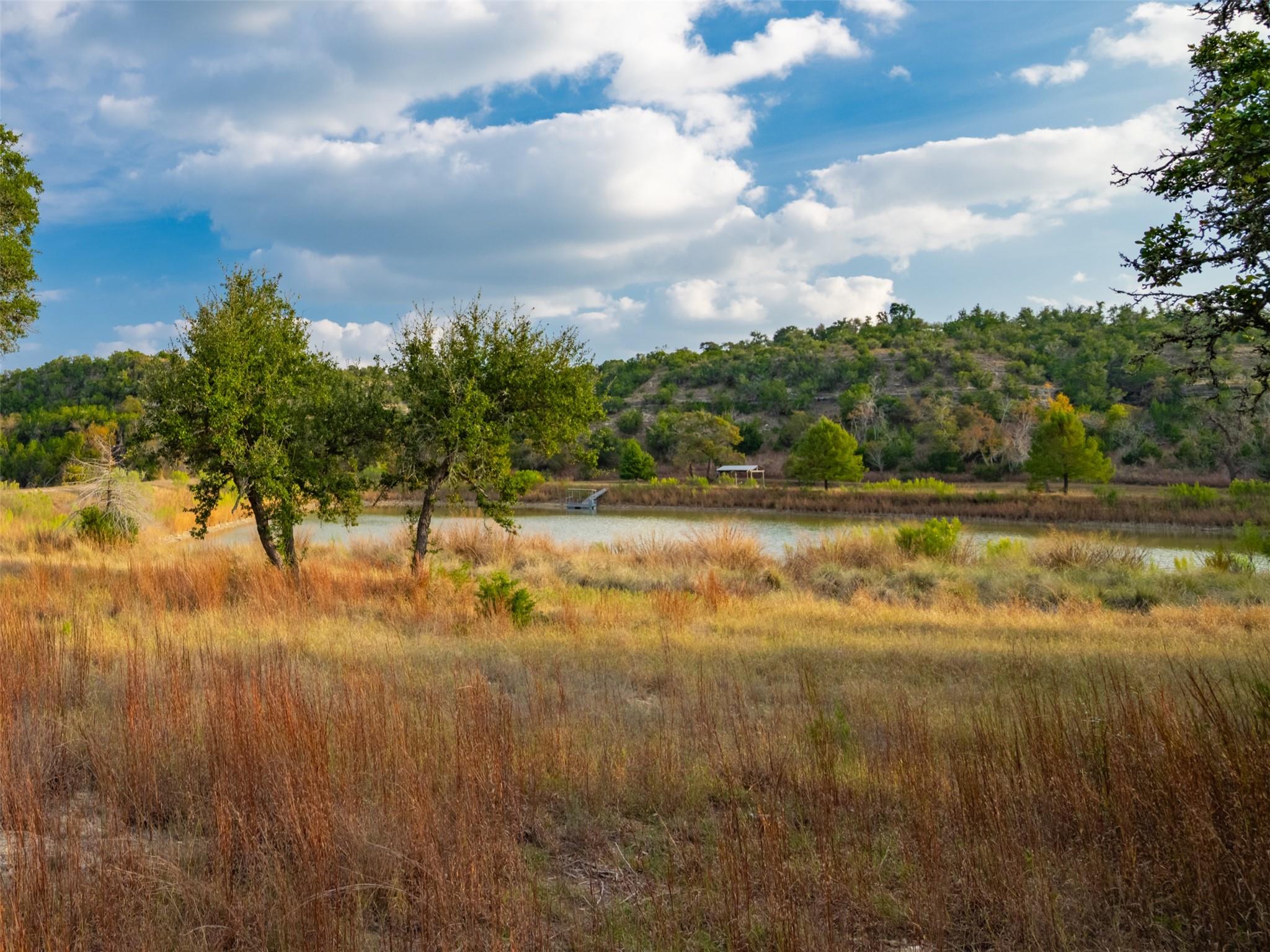 518 Curly H Ranch Rd, Dripping Springs, TX 78620