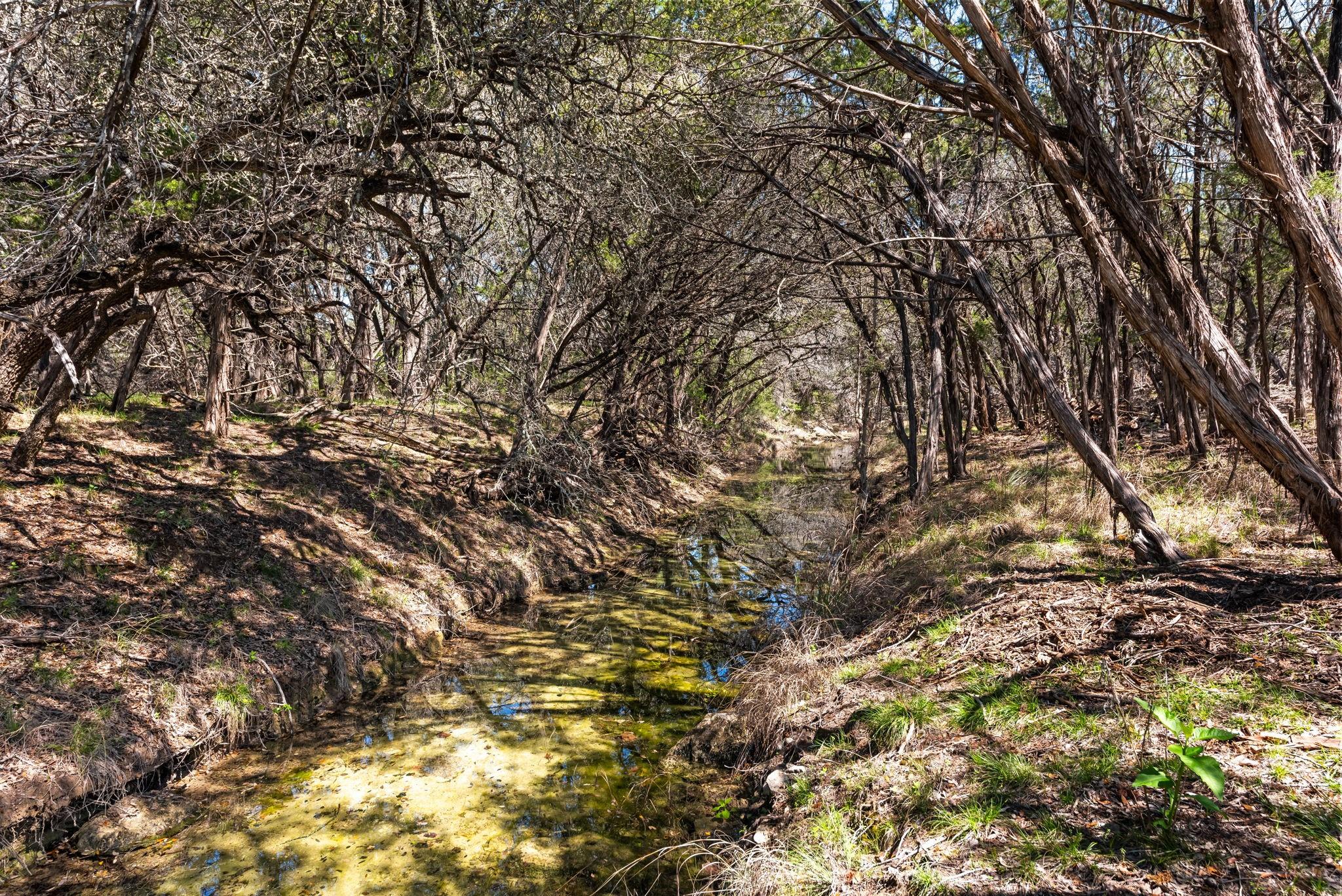 1725 Cripple Creek Sta, Dripping Springs, TX 78620